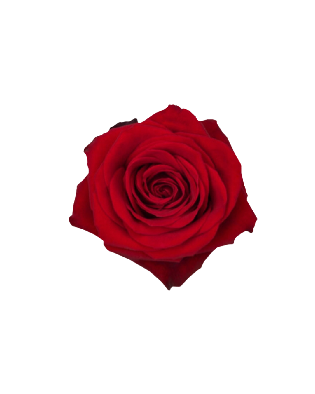 Glitter Initial Bouquet - 36 stems